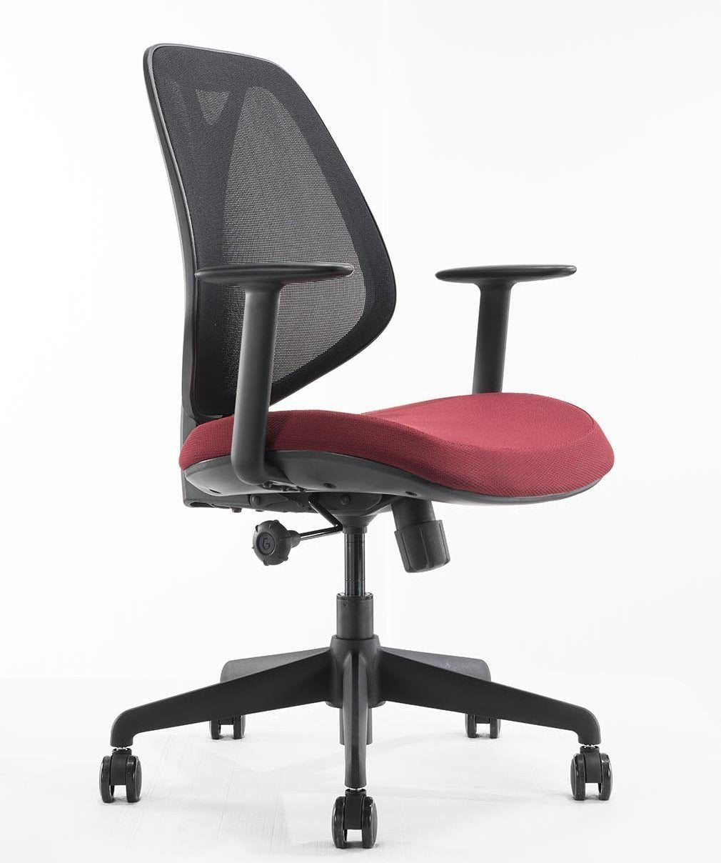 Voria Chair